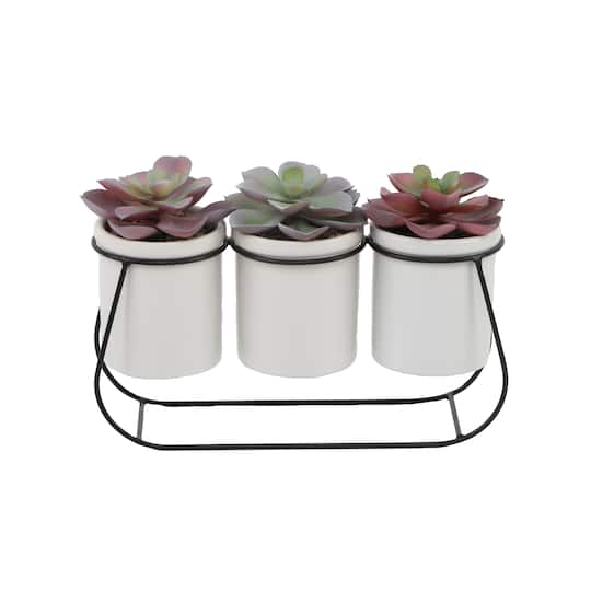 Flora Bunda® 11.5" Potted Succulents in Metal Stand